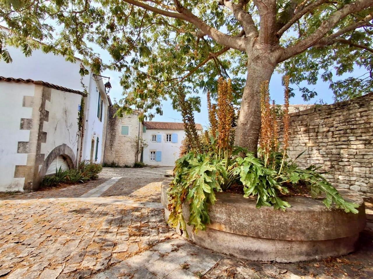 Le Nid Flottais Apartment La Flotte Exterior photo